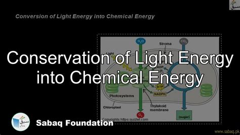 Conservation Of Light Energy Into Chemical Energy Biology Lecture