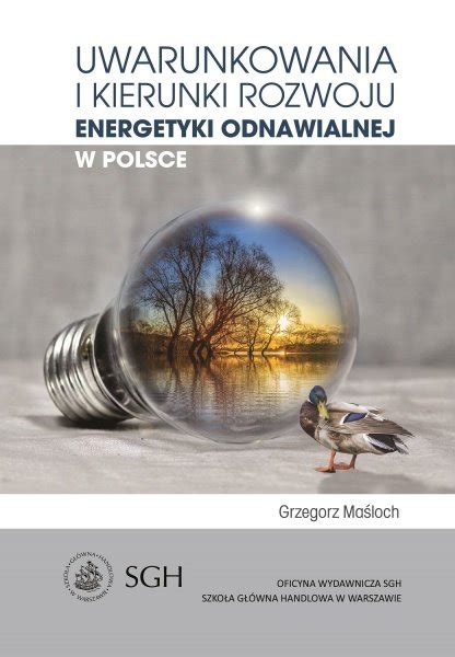 Pdf Uwarunkowania I Kierunki Rozwoju Energetyki Odnawialnej W Polsce