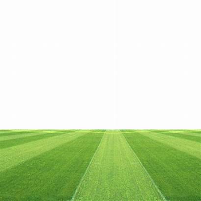 Football Field Pitch Stadium Clipart Grassland Grass