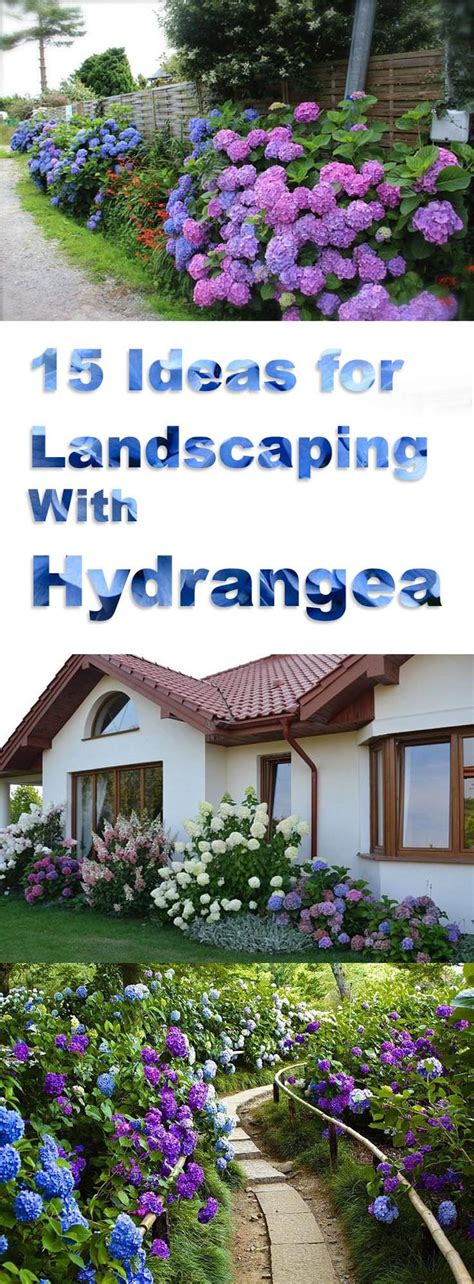 Landscaping With Hydrangeas 15 Garden Design Ideas