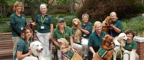 Animal Assisted Crisis Response Therapy Dogs