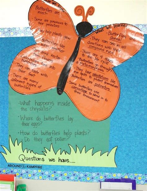 Butterfly Life Cycle Kwl Anchor Chart Anchor Charts First Grade