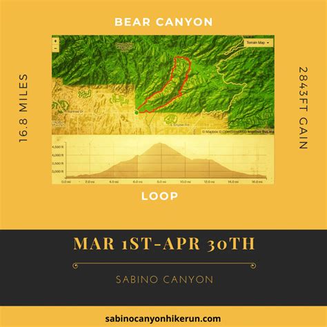 2020 Bear Canyon Loop Sabino Canyon Hike And Run