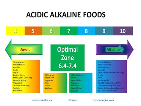 Top 10 Alkaline Foods List For A Healthy Diet Alkaline Diet Blog