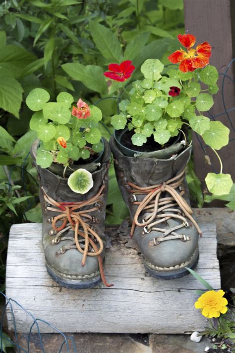 Get planting ideas for your garden that will help you select and arrange the right plants. What Is Garden Upcycling - Upcycled Garden Projects From ...