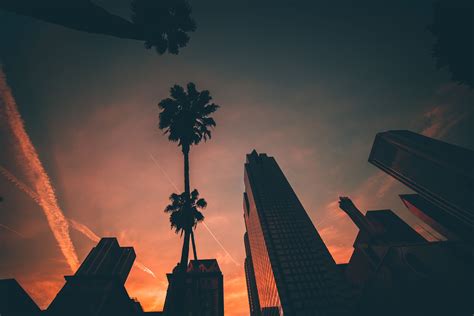 Palm Trees Building Sunset Cityscape Wallpapers Hd Desktop And