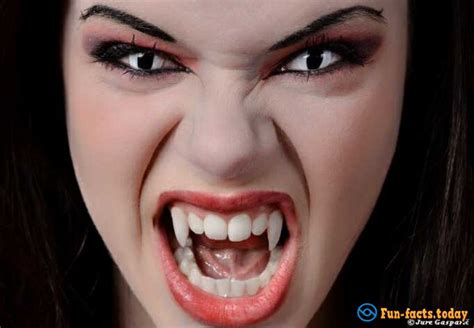 Facts About Vampire History
