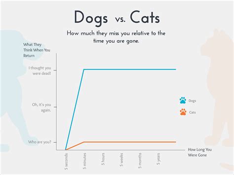 10 Funny Graphs That Perfectly Explain Everyday Life Graphing Miss