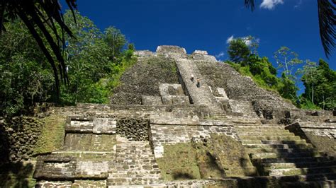 Lamanai Mayan Ruins Tour Splash Wave Tours