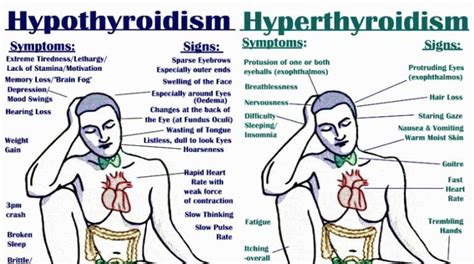 All The Signs Symptoms Triggers And Treatments Of Hypo And