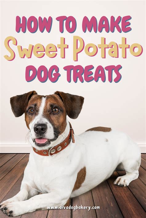 How To Make Sweet Potato Dog Treats