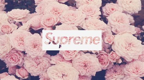 Supreme Flower Wallpapers Top Free Supreme Flower Backgrounds