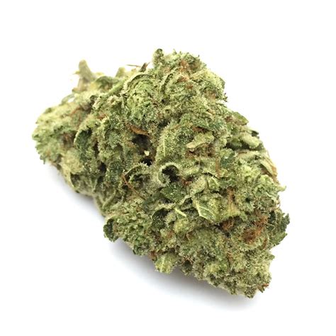 Gorilla Glue 4 Sativa Cali Cannabis Express