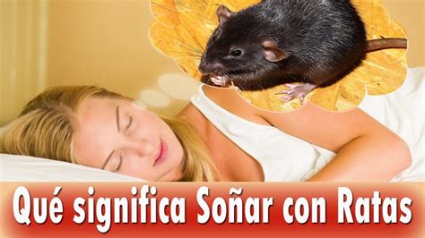 Que Significa Soñar Con Ratas Significado De Los Sueños ⭐⭐ Youtube