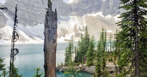 8 Breathtaking Hikes In Kootenay National Park Bc 10adventures