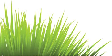 Freesvg.org offers free vector images in svg format with creative commons 0 license (public domain). Green Desert Grass.eps - EXEIdeas - Let's Your Mind Rock