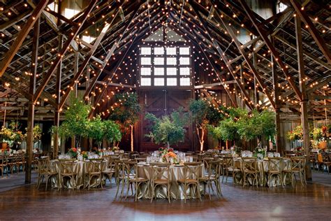 Hanging Lights And Plants Forest Wedding Venue Forest Wedding