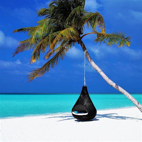 Maldives Palm Beach Relax Rest Ocean Sand Resort Relaxing