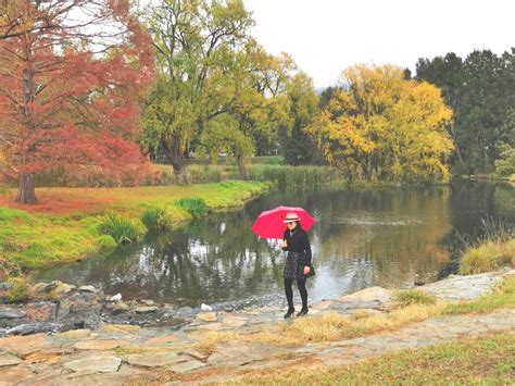 The Australian National University Anu In Canberra Careful With Ducks