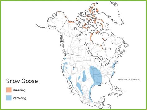 Waterfowl 360 Migration Map Map Resume Examples