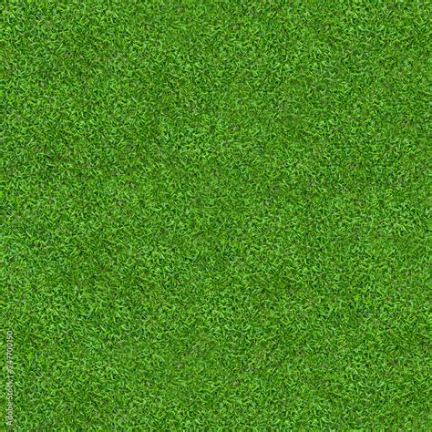 Green Grass Texture For Background Green Lawn Pattern And Texture Background Close Up Stock