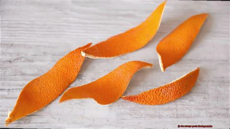 Are Orange Peels Biodegradable