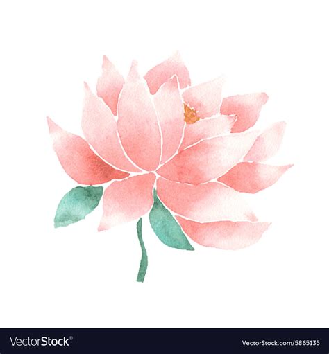 Watercolor Lotus Flower Pink Royalty Free Vector Image