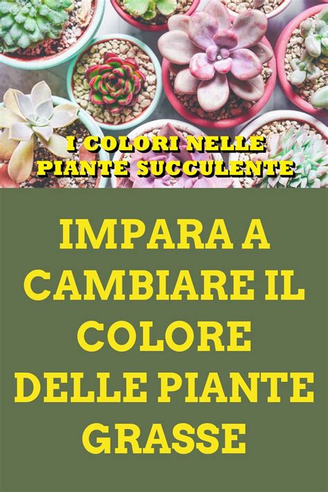 Impara A Cambiare Il Colore Delle Piante Grasse Cacti And Succulents