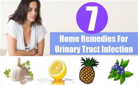 A uti is painful and can cause even the best toilet trained dogs to have frequent this is why i advocate for home remedies. Top 7 Home Remedies for Urinary Tract Infection