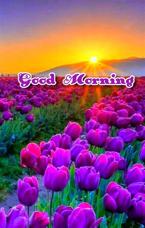 Good Morning By Nawal Parmar Good Morning Flowers Good Morning