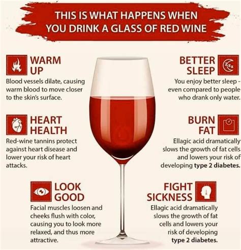 The Best Time To Drink Red Wine For Health