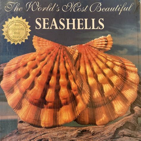 The Worlds Most Beautiful Seashells Malaysiaseashell