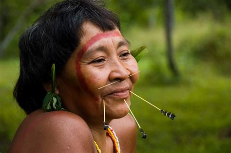 los buscadores de oro exterminan a una tribu indígena brasileña del amazonas diario octubre