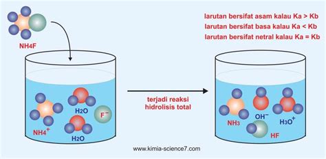 Hidrolisis Kimia Kelas Teori Jenis Reaksi Dan Contoh Soal Jamukuat Top