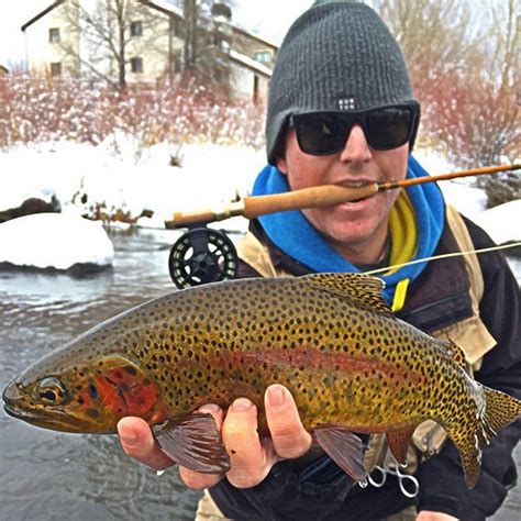 Friend Of The Shop With A Gorgeous Local Cutbow Colorado