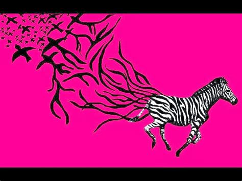 48 Pink Zebra Wallpaper