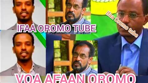 Voa Afaan Oromo Feb82018 Youtube