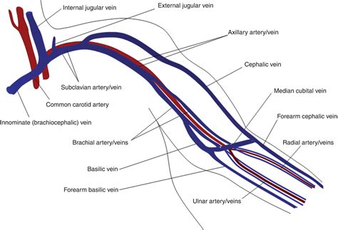 Upper Extremity Venous Anatomy