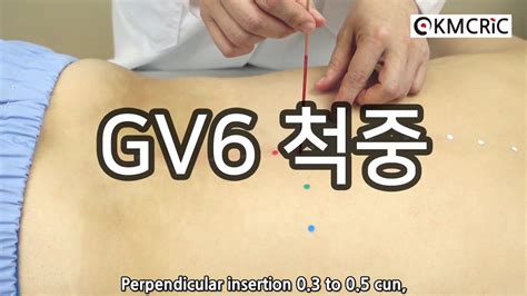 gv6 척중 脊中 jizhong eng sub kmcric who standard acupoint db youtube