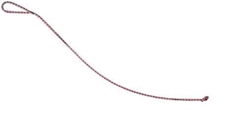 Dog Leash Png Pic Png All Png All