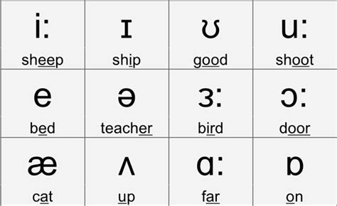 Vowel Phonetic Chart Phonetics Phoneticsvowel Learn Brainly
