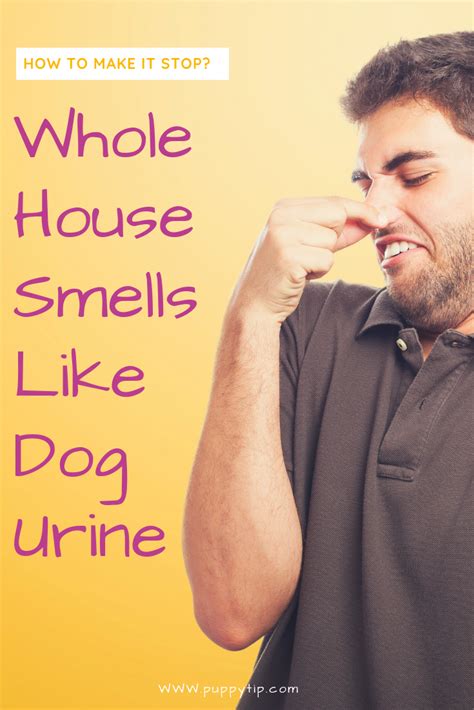 A Man Holding His Nose While Looking At Something With The Words Whole