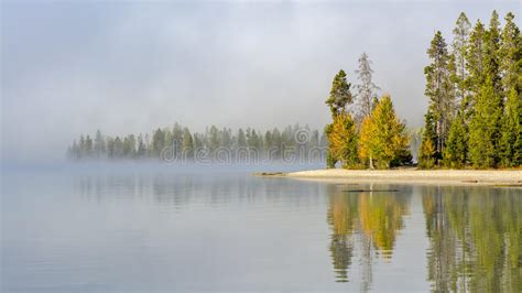 Trees Reflect In The Water Sunrise Idaho Lake Stock Photo Image Of