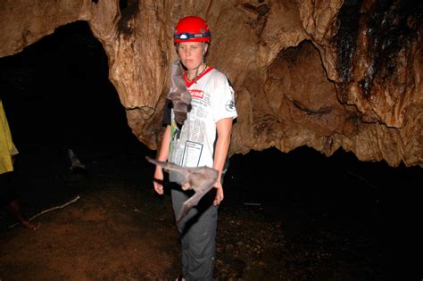 Spelunking In A 400 Million Year Old Cave Caving Excursions Waulpane