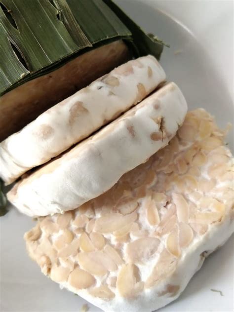 【コラム】インドネシアのスーパーフード『テンペ ...