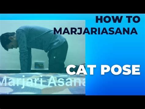 How To Do Marjariasana Cat Stretch Steps Best Marjariasana Benefits
