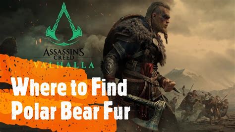 Where To Find Polar Bears In Assassin S Creed Valhalla Youtube