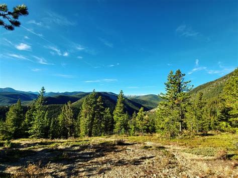2023 Best 10 Trails And Hikes In Bragg Creek Alltrails