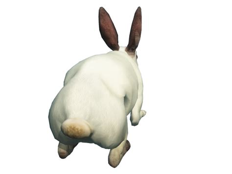 Free Download Of Rabbit Icon Clipart Png Transparent Background Free