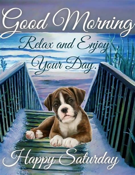Relaxing Dog Good Morning Happy Saturday Pictures Photos And Images